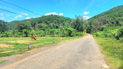 bán lô đất view suối cực đẹp ở khánh thành , khánh vĩnh khánh hòa.. DT 315m2