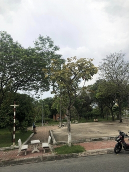 NHÀ ĐẸP  XE HƠI NGỦ TRONG NHÀ, VIEW CÔNG VIÊN, 2 MẶT ĐƯỜNG, GIÁP ĐẠI LỘ VÕ VĂN KIỆT.