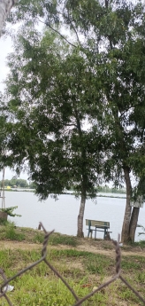 Đất thổ cư ấp Giồng Lớn xã Mỹ Hạnh Nam view hồ câu cá 2 mặt tiền đường shr