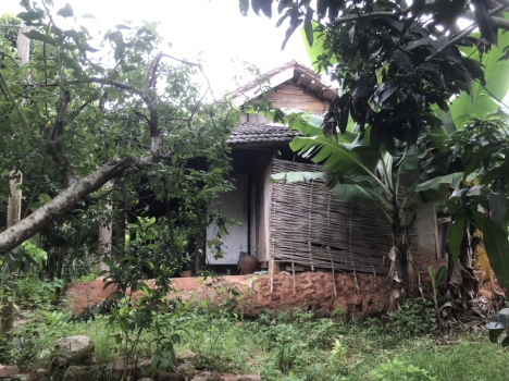 Đất Mộc Châu - Mảnh đất có vườn cây ăn quả, Gần QL6 có sắn 1 ngôi nhà nhỏ và rất nhiều cây ăn quả