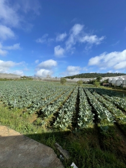 Cần bán lô đất nông nghiệp 3000m2 quy hoạch chuyển đổi 100% Phường 8 - Đà Lạt