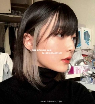 Top 13 màu nhuộm hidden phong cách kiêu sa điệu đà cho nàng - Học Nghề Tóc Tiệp Nguyễn