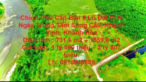 Chính Chủ Cần Bán 5 Lô Đất CLN Ngay Trung Tâm Sông Cầu, Khánh Vĩnh, Khánh Hòa