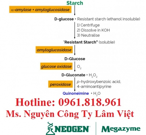 NHÀ PHÂN PHỐI TẠI VIỆT NAM RESISTANT STARCH ASSAY KIT (RAPID)