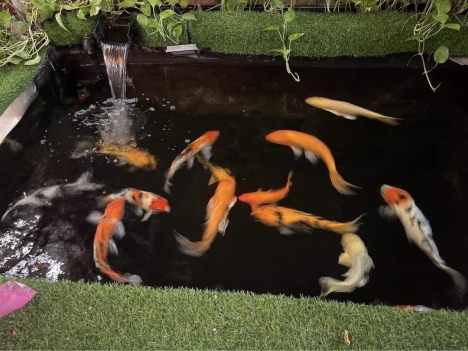 BÌNH TÂN, ĐƯỜNG CONTAINER, GẦN MẶT TIỀN HL 2, BV BÌNH TÂN, MÃ LÒ, SỔ VUÔNG VỨC, HOÀN CÔNG ĐẦY ĐỦ,