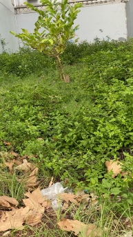 DUY NHẤT GẦN 180M2 ĐẤT MẶT TIỀN VIP BÀU CÁT