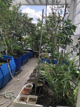 Bán Nhà Mặt tiền kinh doanh chợ Rạch Ông thông Dương Bá Trạc F2Q8