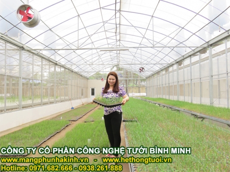 Lưới chắn côn trùng Politiv israel khổ 2.15x50, lưới chắn côn trùng Politiv israel khổ 3x50,