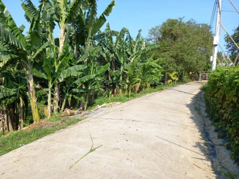 bán đất làm vườn diên lâm diên khánh khánh hòa