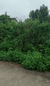 ĐẤT HÀ NỘI  - CHƯƠNG MỸ - SIÊU ĐẸP, SIÊU RẺ... GẦN HỒ NHỈM 1.7 TỶ