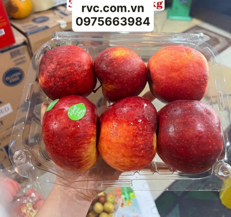 Chuyên sỉ hộp nhựa đựng trái cây P1000C tại Tân Bình