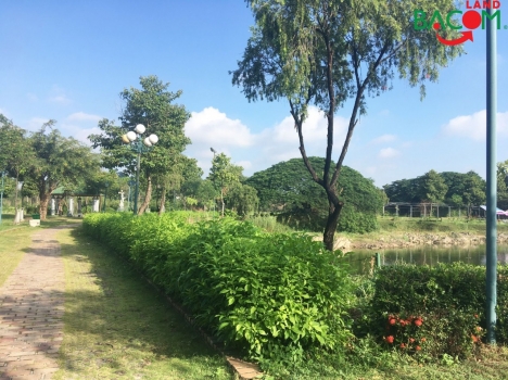 Giá chỉ: 2,050 tỉ (thương lượng)Bán 4 phòng trọ SHR thổ cư 93m2 đường ô tô (Xã Thạnh Phú) Biên