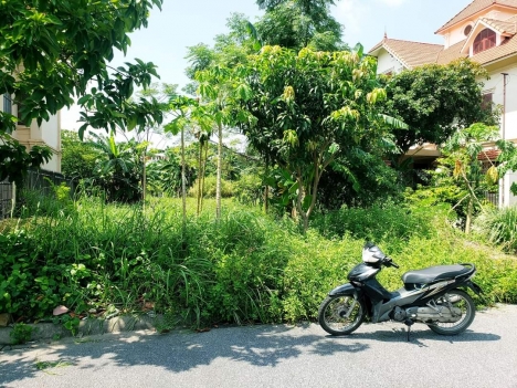 Tại mặt Đường Anh Dũng 5 Dương Kinh  HP  giá 22tr