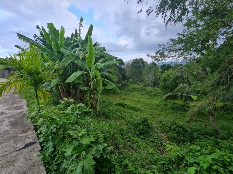 bán đất làm vườn diên lâm diên khánh khánh hòa