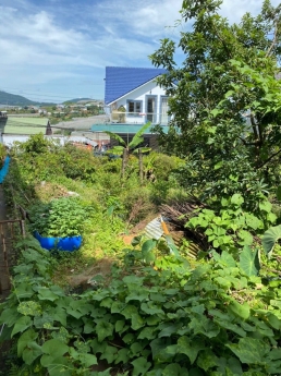 Cần tiền bán gấp đất nền Biệt Thự đường đường Cao Thắng, Đà Lạt 249m2 giá 8.5 tỷ