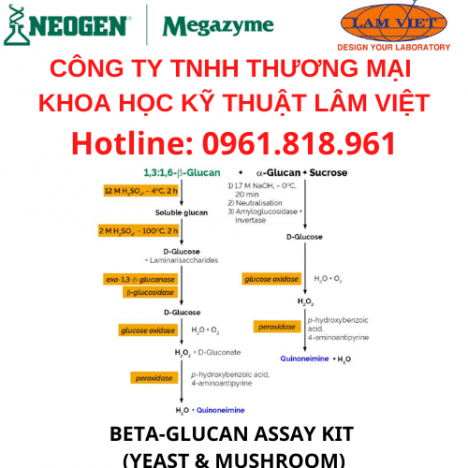 megazymeTest kits trong phân tích BETA-GLUCAN ASSAY KIT (YEAST & MUSHROOM)