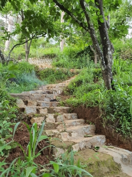 Cần tiền bán gấp đất NN sổ riêng view thoáng đường Khe Sanh, Đà Lạt 500m2 giá 3.2 tỷ