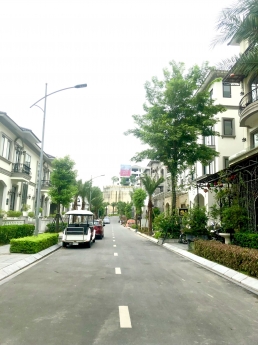 Cần Tiền Trả nợ ngân hàng cần bán nhanh căn hộ 2N sở hữu lâu dài Cam kết lợi nhuận 20t/1 tháng từ