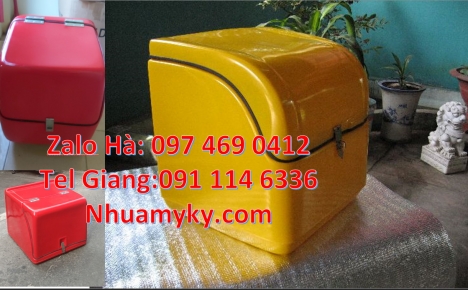 thùng chở hoa quả, thùng chở hàng sau xe máy, thùng giao hàng cao cấp, Thùng Chở Hàng Sau Xe Máy, Th