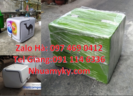thùng chở hoa quả, thùng chở hàng sau xe máy, thùng giao hàng cao cấp, Thùng Chở Hàng Sau Xe Máy, Th
