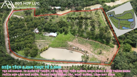 2.2ha đất CLN, thực tế là 2.5ha đất thuộc xã Eakao- Tp Buôn Mê Thuột