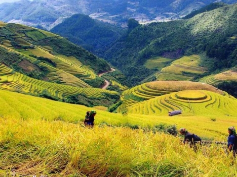 Đất nền Sapa view thung lũng Mường Hoa, đầy đủ sổ thổ cư, giá siêu rẻ