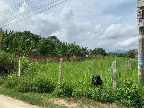 Bán Lô Đất Thôn Cà Hon Xã Khánh Bình Khánh Vĩnh Khanh Hòa Quy hoạch Full THổ