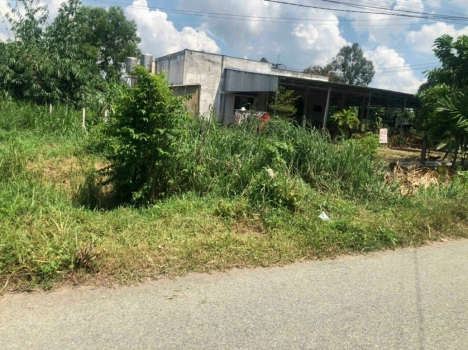 Kinh doanh thua lỗ cần bán rẻ lô đất trong KDC chợ Phú Hòa Đông 5x16 780tr