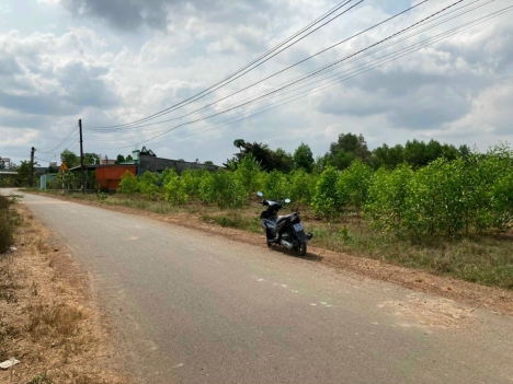 BÁN ĐẤT SÀO KHU DI TÍCH LỊCH SỬ CĂN CỨ TÀ THIẾT - LỘC NINH - BÌNH PHƯỚC