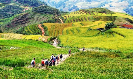 Đất nền Sapa view thung lũng Mường Hoa, đầy đủ sổ thổ cư, giá siêu rẻ