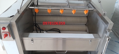 Máy rửa cà rốt khoai lang, máy rửa củ cải, máy rửa củ quả QX608