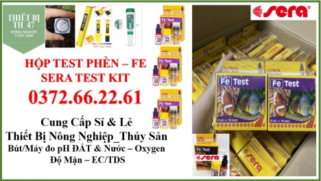 Test Fe test Đức