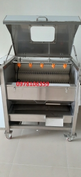 Máy rửa cà rốt khoai lang, máy rửa củ cải, máy rửa củ quả QX608