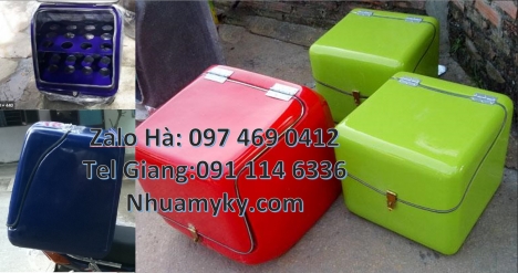 Thùng giữ nhiệt xe máy, thùng chở hoa quả thùng chở hàng sau xe máy thùng giao hàng cao cấp, Thùng