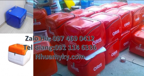 Thùng giữ nhiệt xe máy, thùng chở hoa quả thùng chở hàng sau xe máy thùng giao hàng cao cấp, Thùng