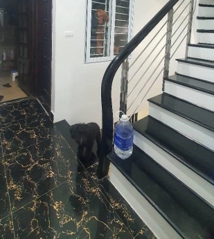 Bán nhà ngõ 181 Xuân Thủy 47m2 x 5T MT 3.8m giá 5.3 tỷ,sát phố, ngõ thông , trung tâm