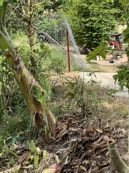 Cần bán 2 Lô Đất Vườn 2000m2 Xã Đông Thạnh Hóc Môn