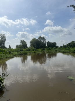 Cần bán 2 Lô Đất Vườn 2000m2 Xã Đông Thạnh Hóc Môn