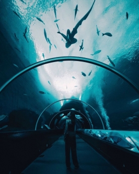 Tour singapore - malaysia 5n4đ