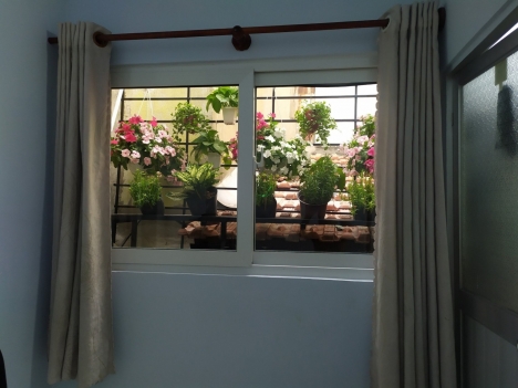 Bán nhà Lạc Long Quân P8, Tân BÌnh 56m2 - 2 Tầng ,Giá rẻ 4,9 tỷ