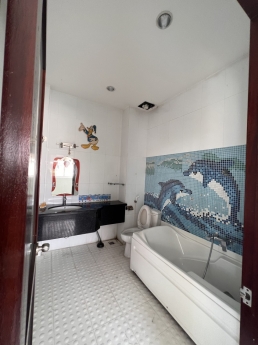 Bán Biệt Thự MT đường Sông Thương gần Sân Bay. DT 6.5 x 20, 4 tầng, 5 PN giá 37 tỷ.