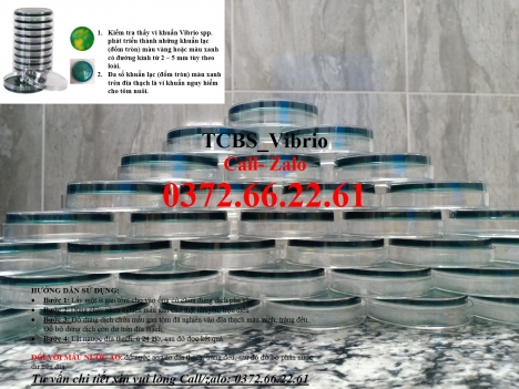 Đĩa kiểm khuẩn trên tôm - môi trường tcbs giá tốt