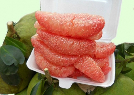 Chính chủ cần bán vườn bưởi giá f0 chỉ 920 triệu mặt tiền đường xe hơi, gần khu dân cư