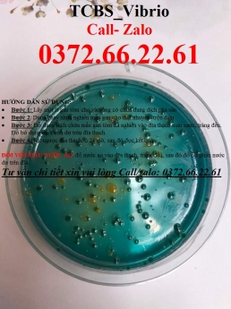 Đĩa thạch TCBS Agar