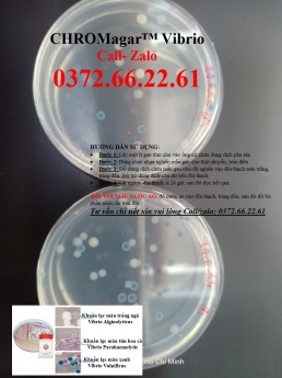 Chromagar - môi trường đổ sẵn test kiểm tra nhanh khuẩn hại vibrio