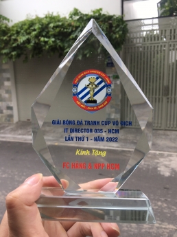 Biểu trưng pha lê, thủy tinh giá rẻ