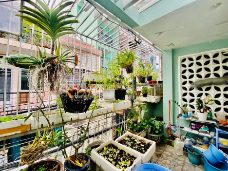 Bán gấp nhà ngay Đường Bạch Đằng, P.15, Bình Thạnh. Dt: 4,9mX21m. Giá 10,2 tỷ