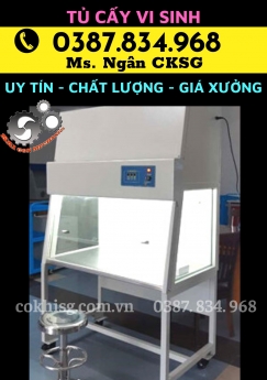 Tủ Cấy Vô Trùng Dòng Khí Thổi Đứng Có Cửa