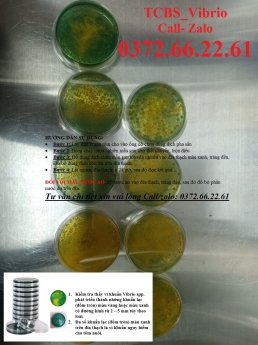 Vibrio trên tcbs nuôi cấy, định lượng mật độ khuẩn tổng ao nuôi