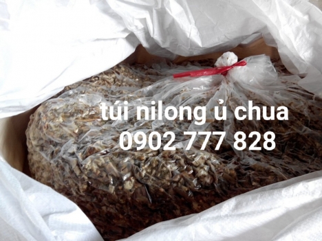 Bao jumbo, bao jumbo ủ chua chất lượng, giá rẻ.